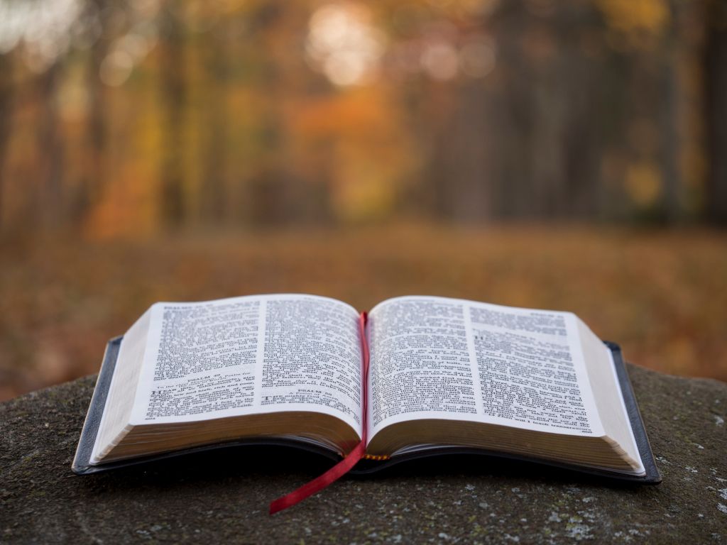 Ką Biblijoje veikia Laiškas Filemonui? Įsivaizduojamas draugų pokalbis